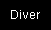 Diver