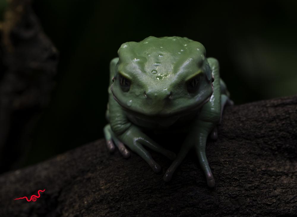 skansenakvariet slussen_95