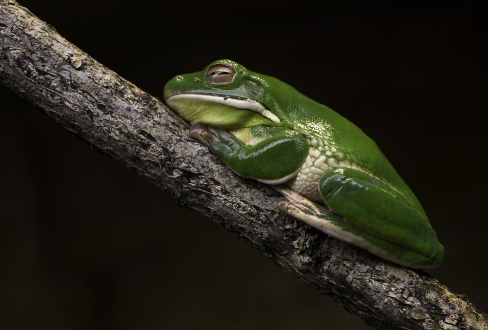 skansenakvariet slussen_99